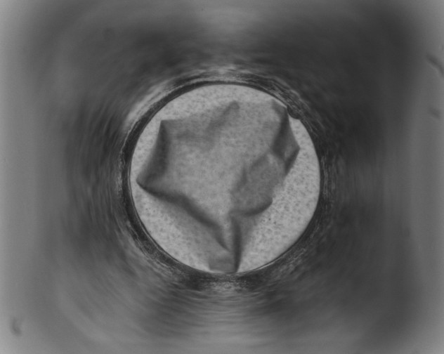 X0000100900344200807220957