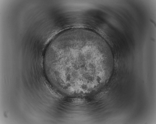 X0000100900347200807220957