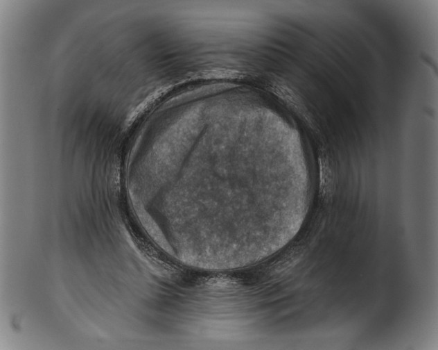 X0000100900348200807220957