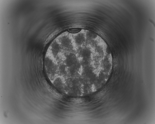 X0000100900349200807220957