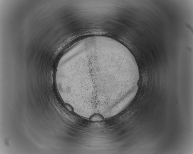 X0000100900350200807220957