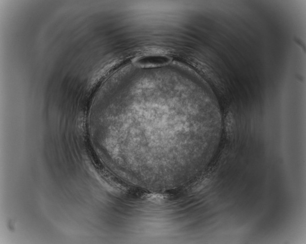 X0000100900352200807220957