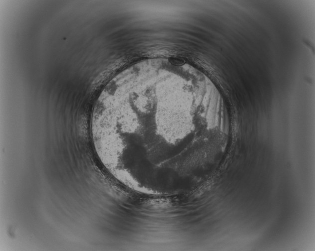 X0000100900353200807220957