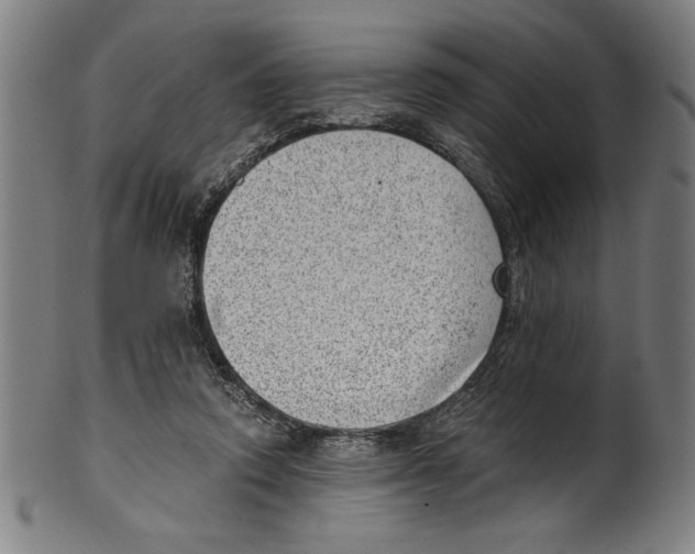 X0000100900354200807220957