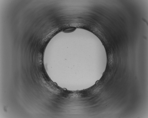 X0000100900356200807220957