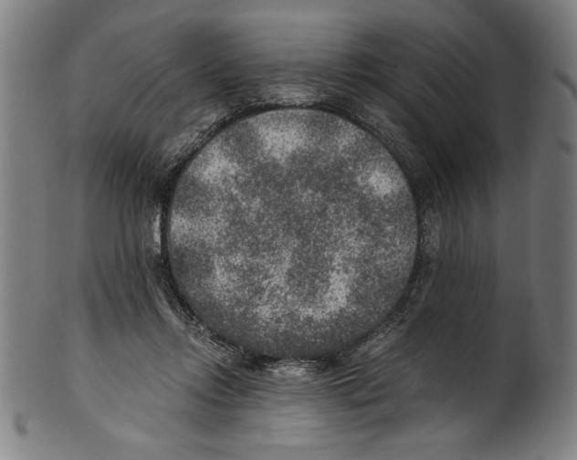 X0000100900358200807220957