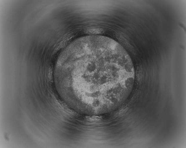 X0000100900359200807220957