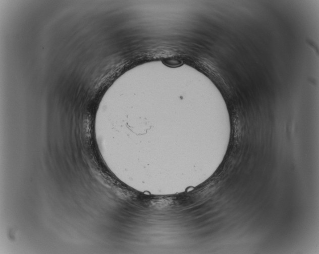 X0000100900362200807220957