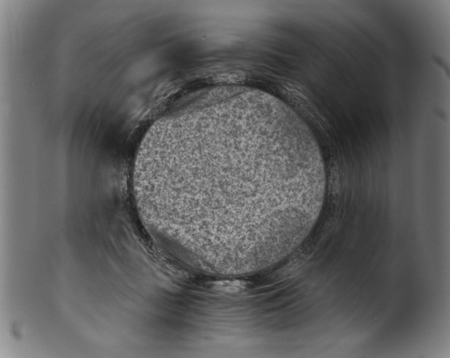 X0000100900363200807220957