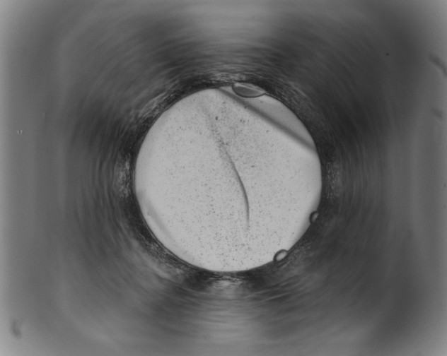 X0000100900364200807220957