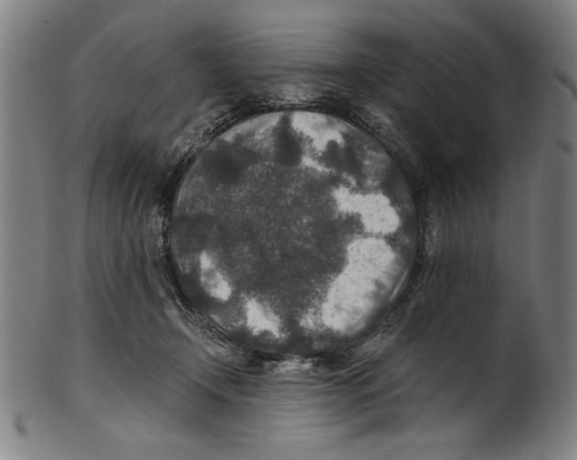 X0000100900366200807220957