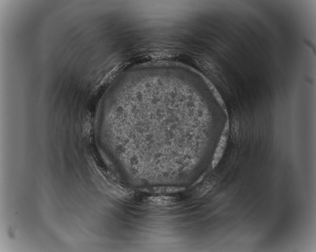 X0000100900367200807220957