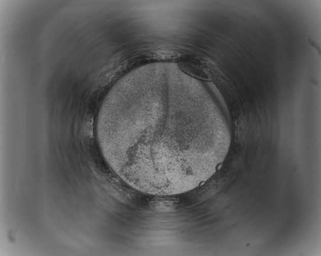 X0000100900368200807220957