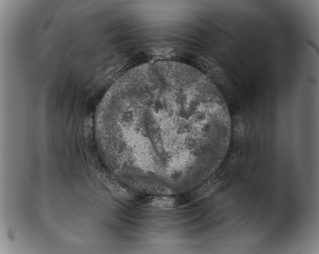 X0000100900369200807220957