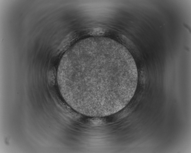 X0000100900370200807220957