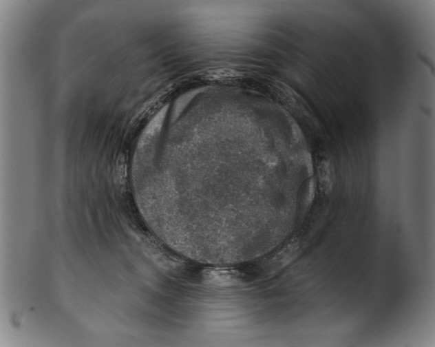 X0000100900372200807220957