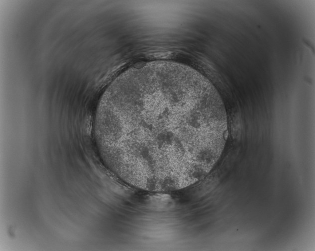 X0000100900374200807220957