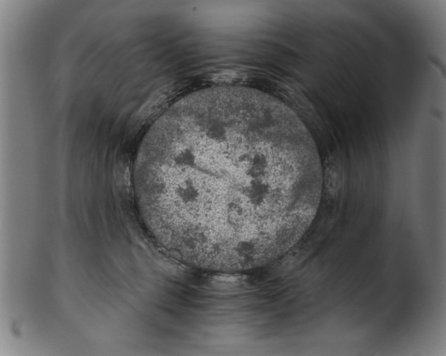 X0000100900375200807220957