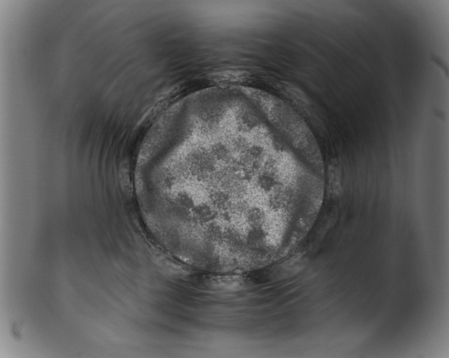 X0000100900377200807220957