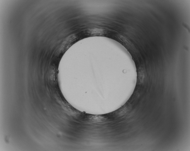 X0000100900379200807220957