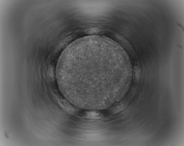 X0000100900380200807220957