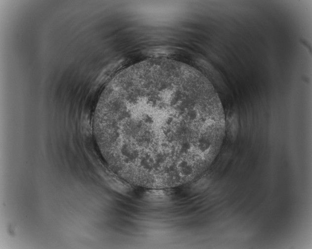 X0000100900381200807220957