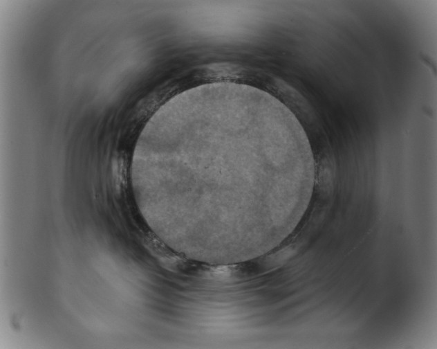 X0000100900382200807220957