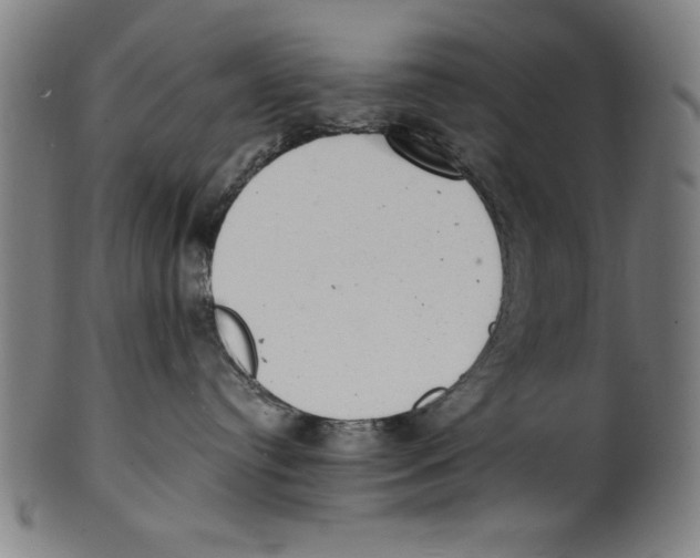 X0000100900384200807220957