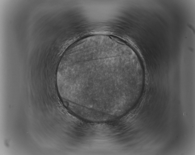 X0000100900385200807220957