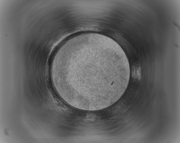 X0000100900388200807220957