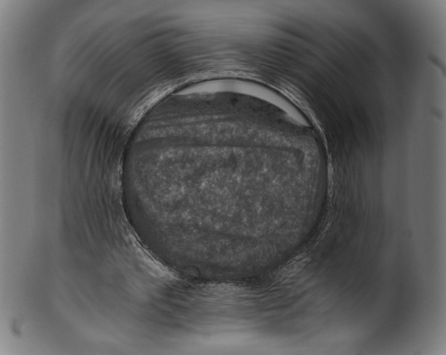 X0000100900389200807220957