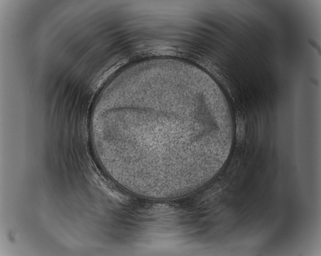 X0000100900390200807220957