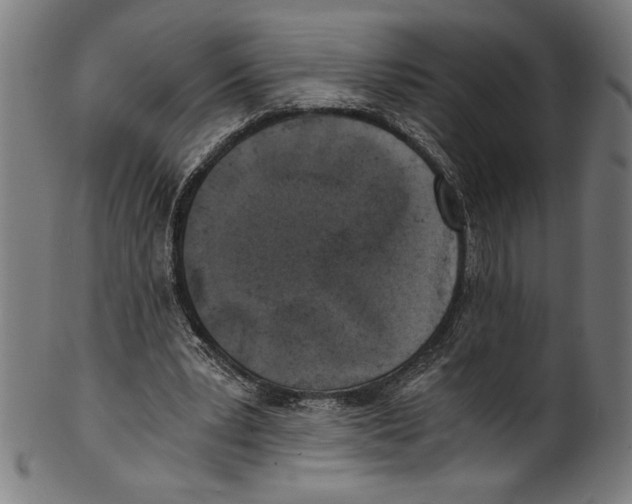 X0000100900391200807220957