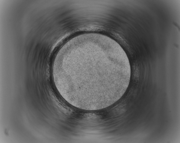 X0000100900392200807220957