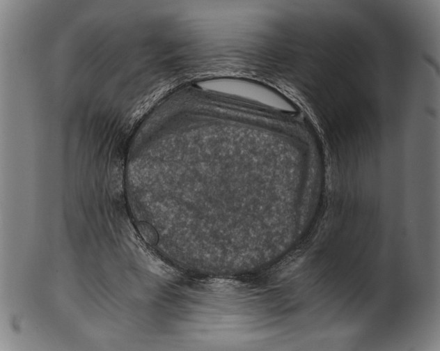 X0000100900393200807220957