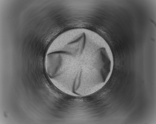 X0000100900394200807220957