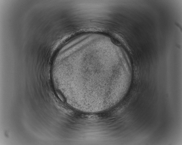 X0000100900395200807220957