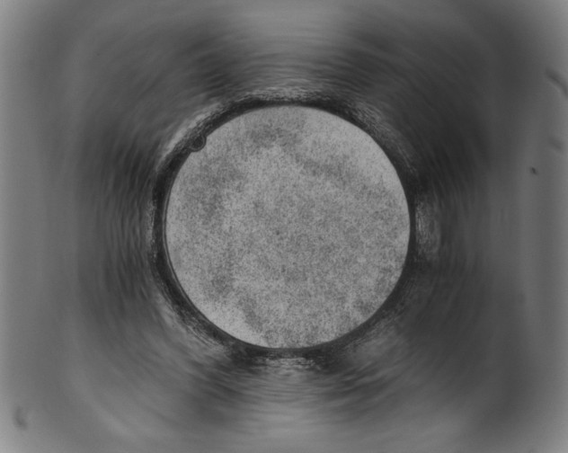 X0000100900396200807220957