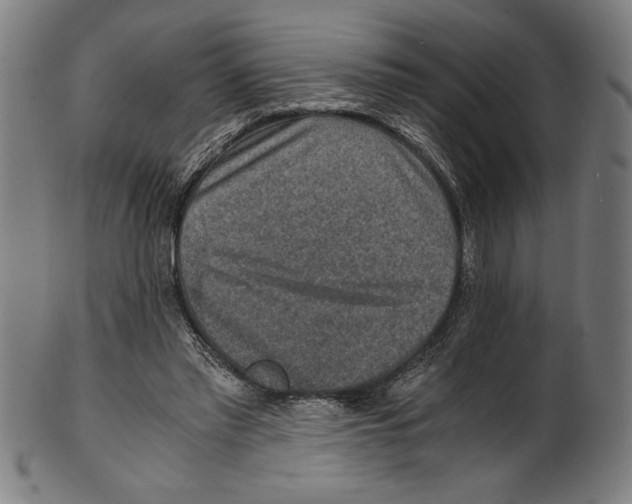 X0000100900397200807220957