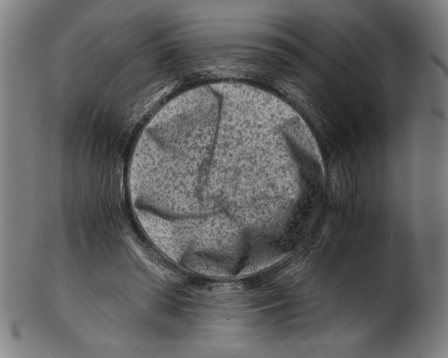 X0000100900398200807220957