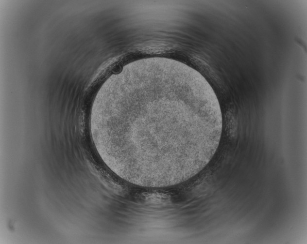 X0000100900400200807220956