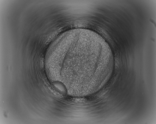 X0000100900401200807220956