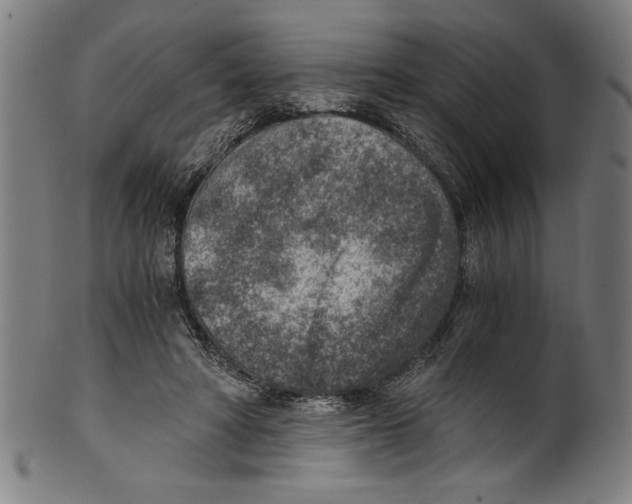 X0000100900402200807220956