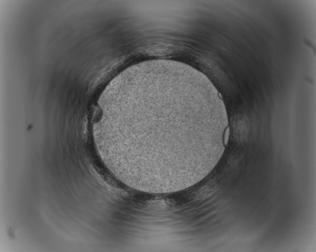 X0000100900404200807220956