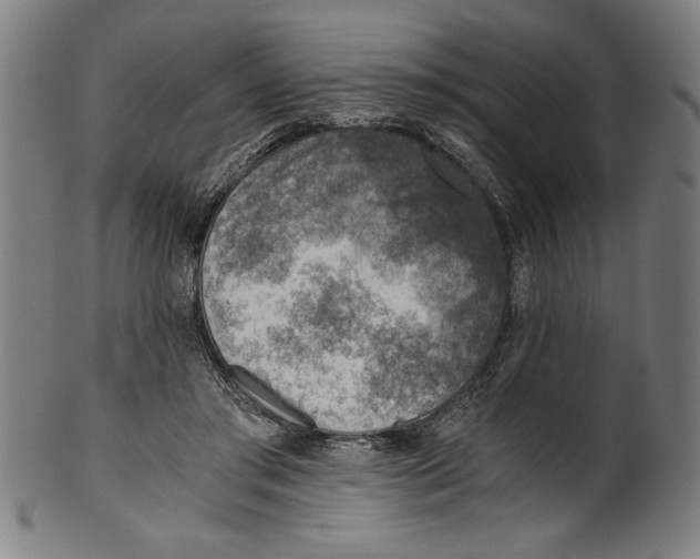 X0000100900405200807220956