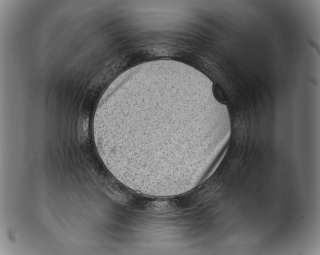 X0000100900406200807220956