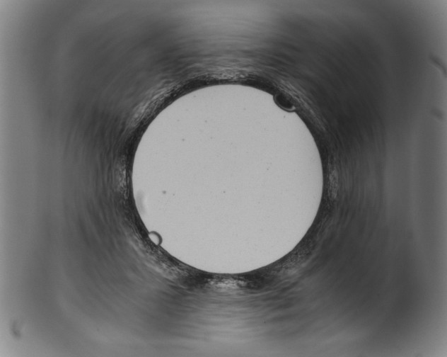 X0000100900407200807220956