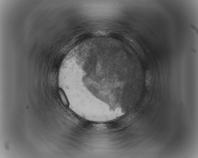 X0000100900409200807220956