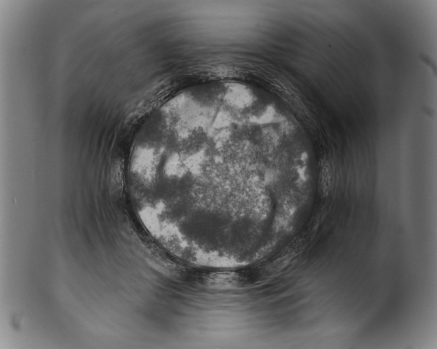 X0000100900410200807220956