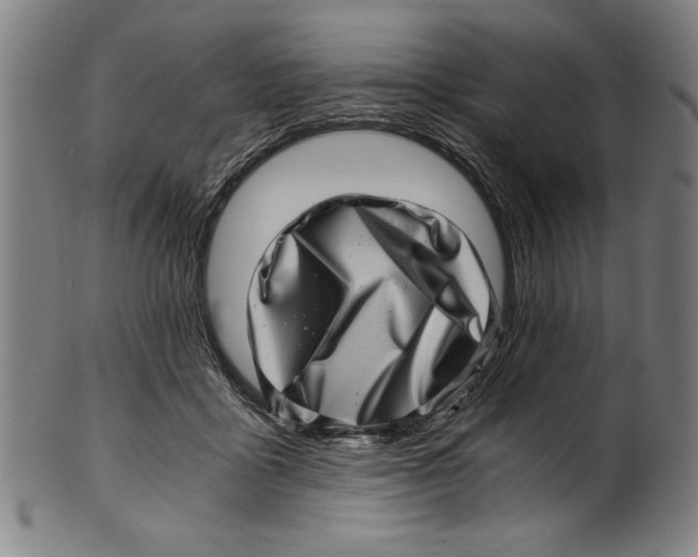 X0000100900411200807220956